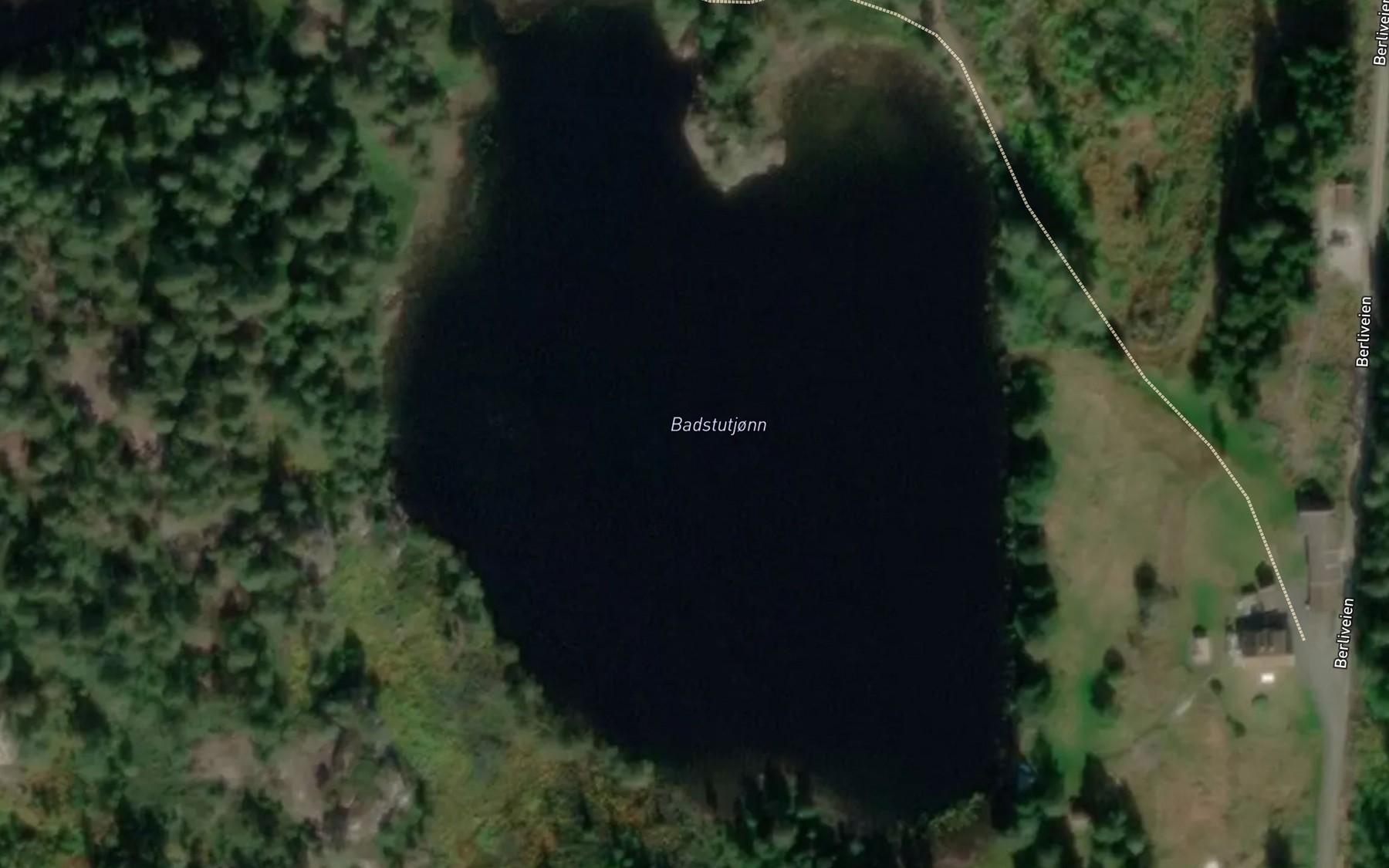 Satellite map of the Badstutjonn