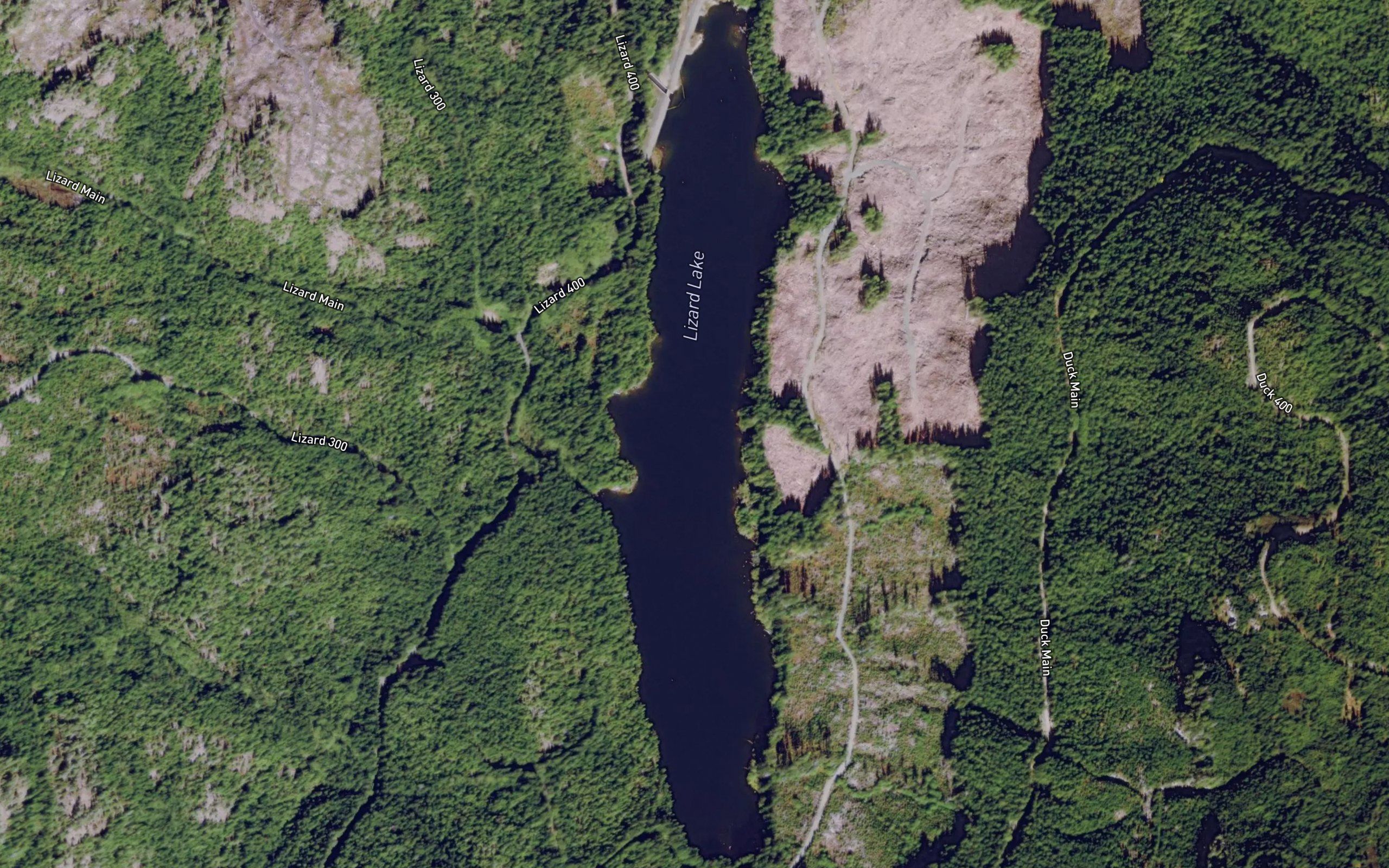 Lizard Lake