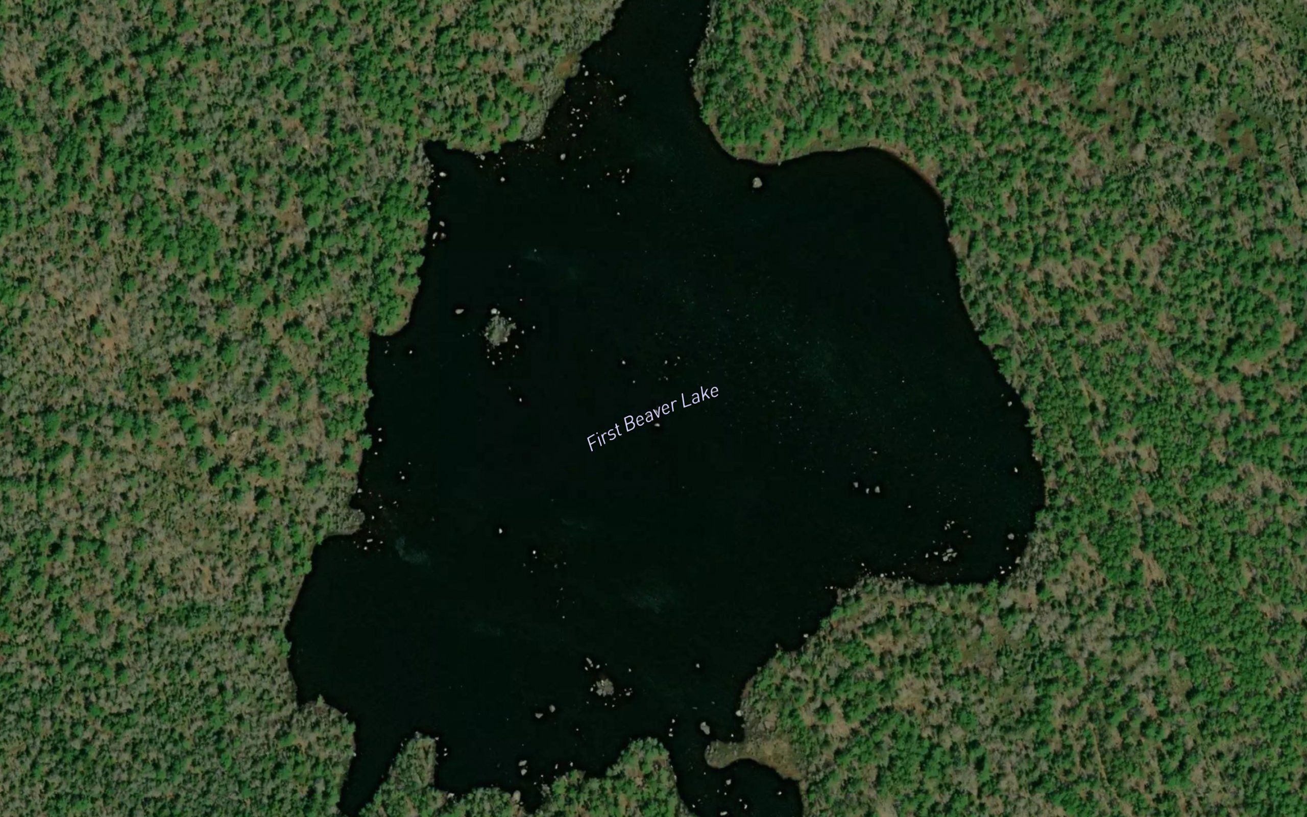 First Beaver Lake