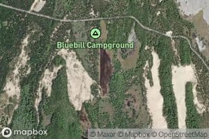 Bluebill Lake