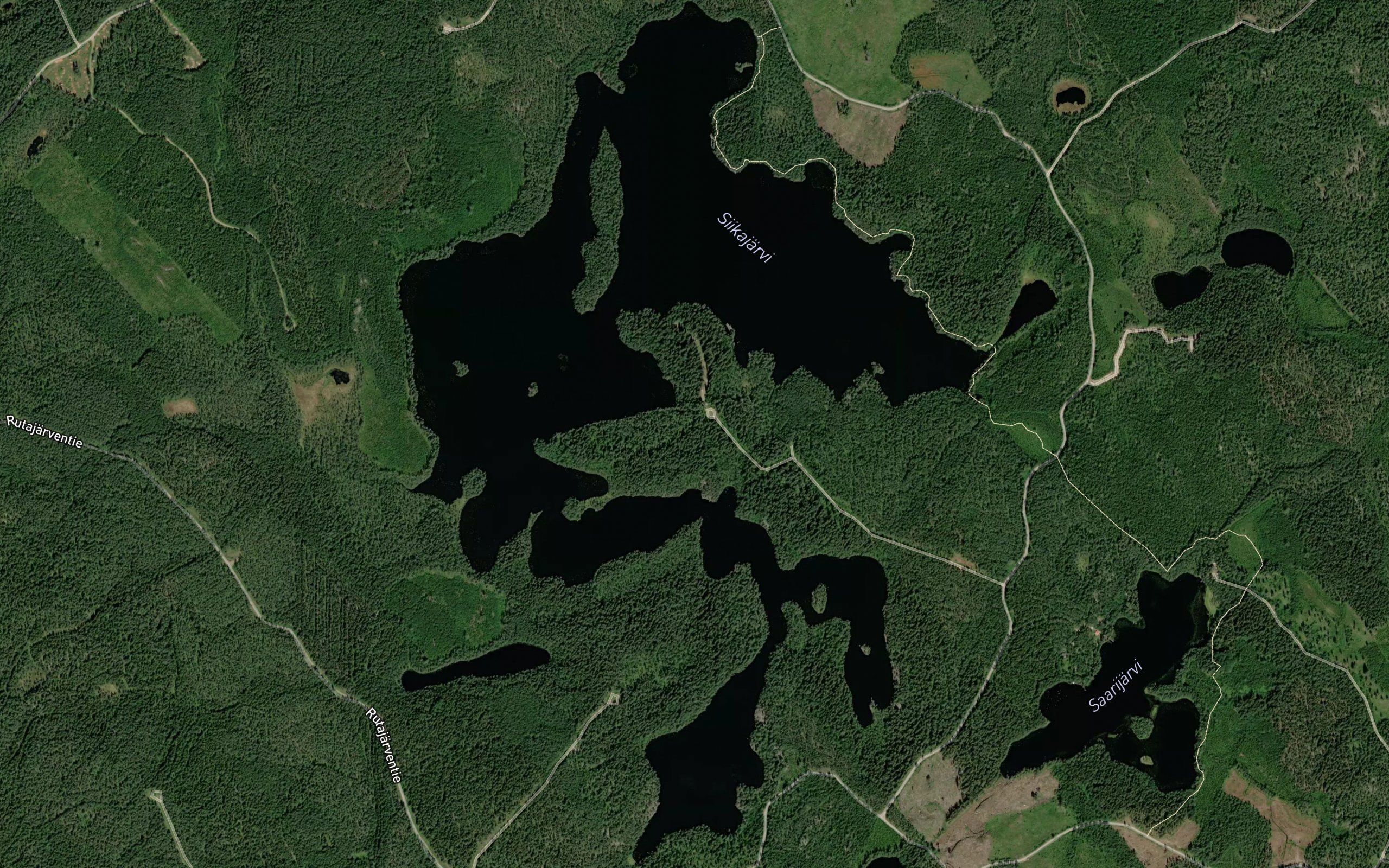 Kellarinlahti