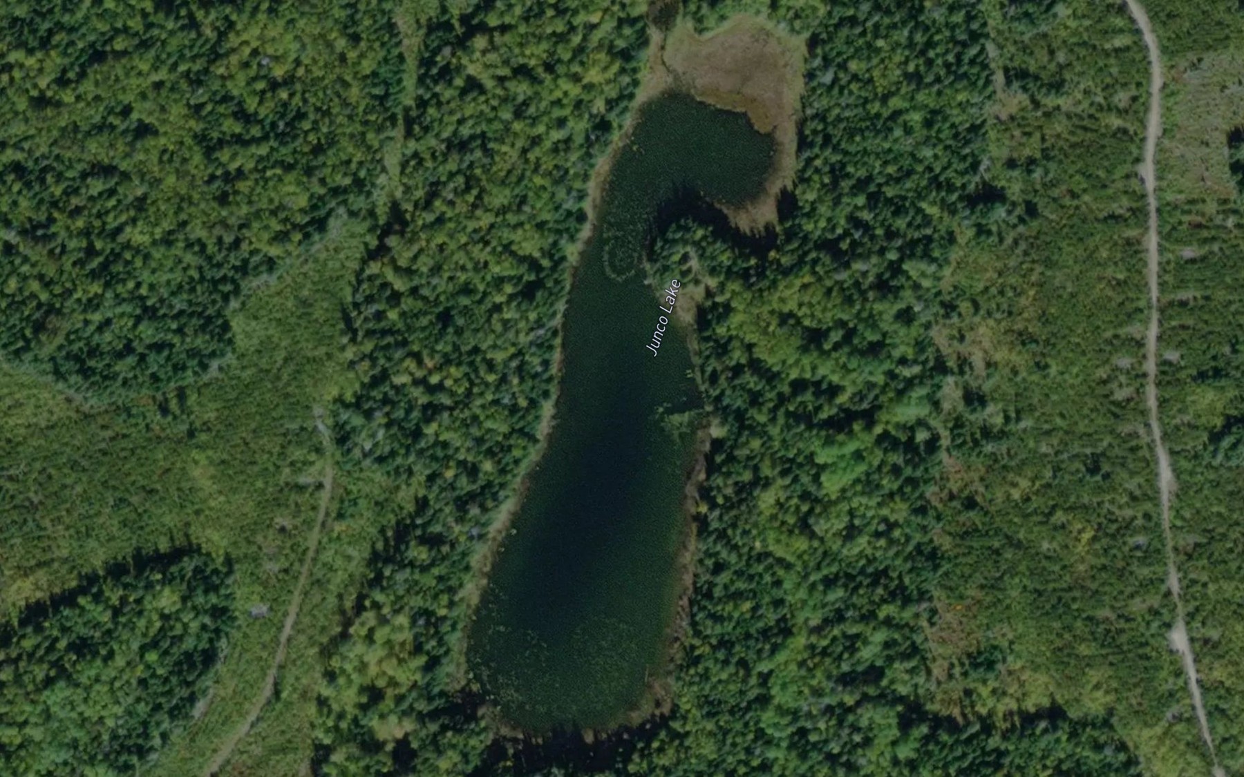 Satellite map of the Junco Lake