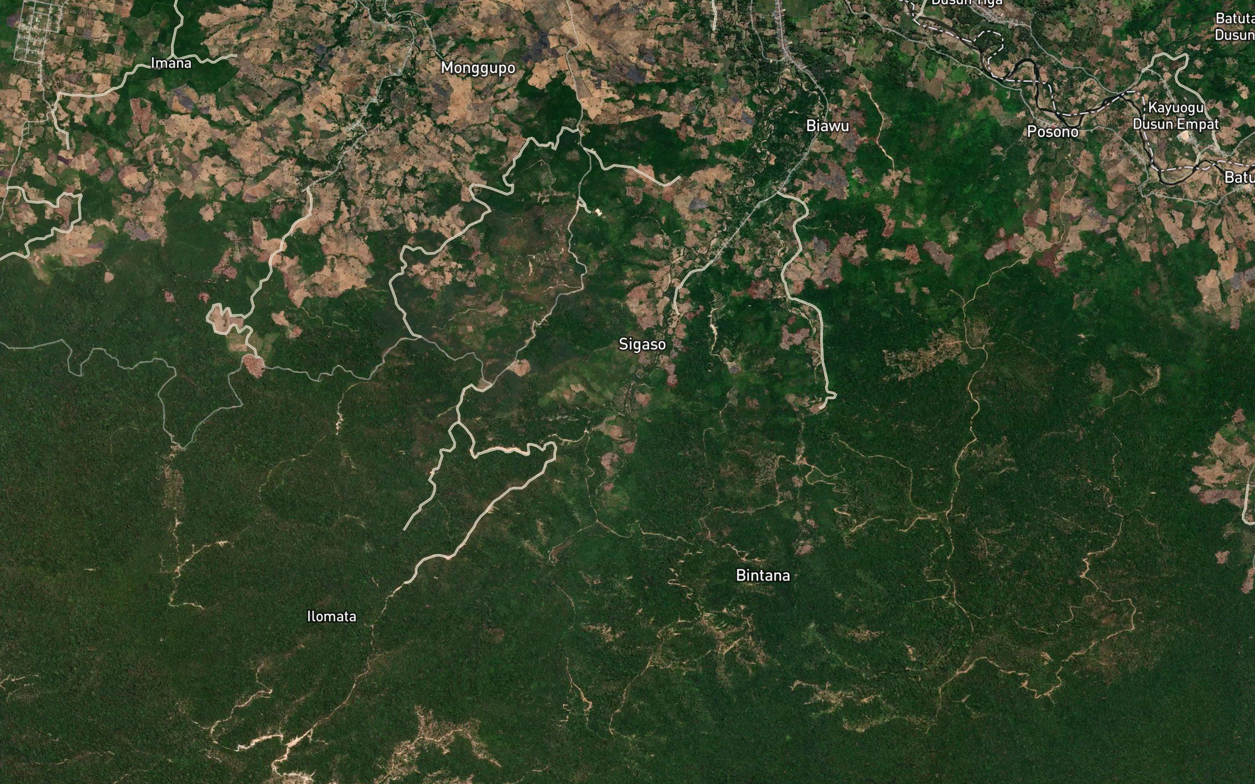 Butaiya Monggupo