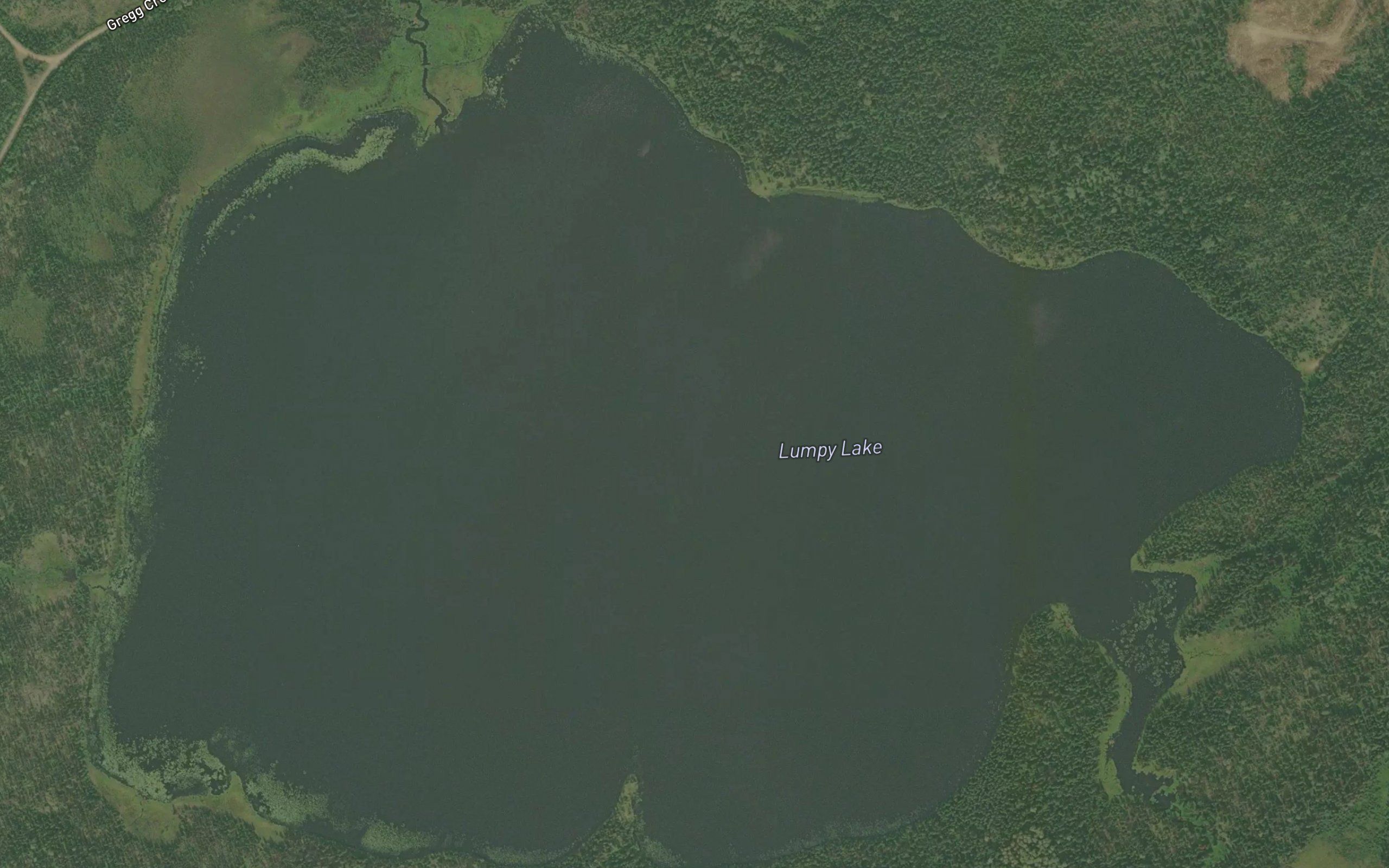 Lumpy Lake