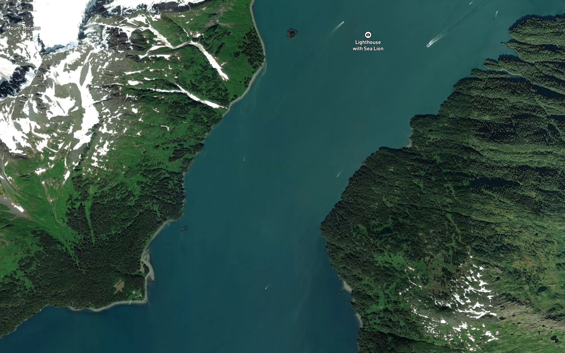 Satellite map of the Valdez Narrows