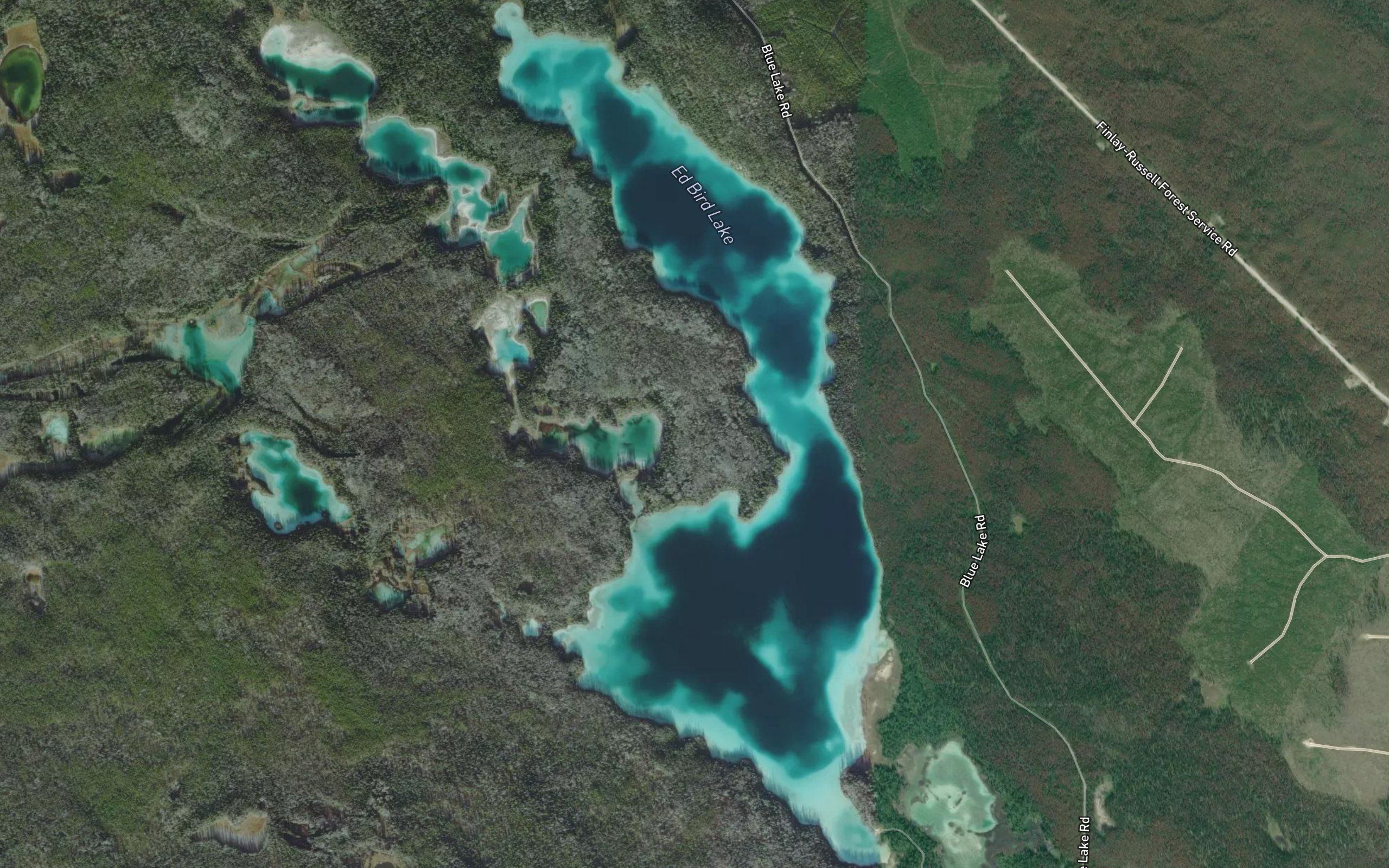 Ed Bird Lake