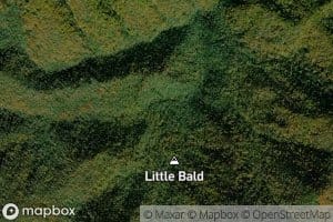 Little Bald Branch