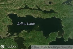 Arliss Lake