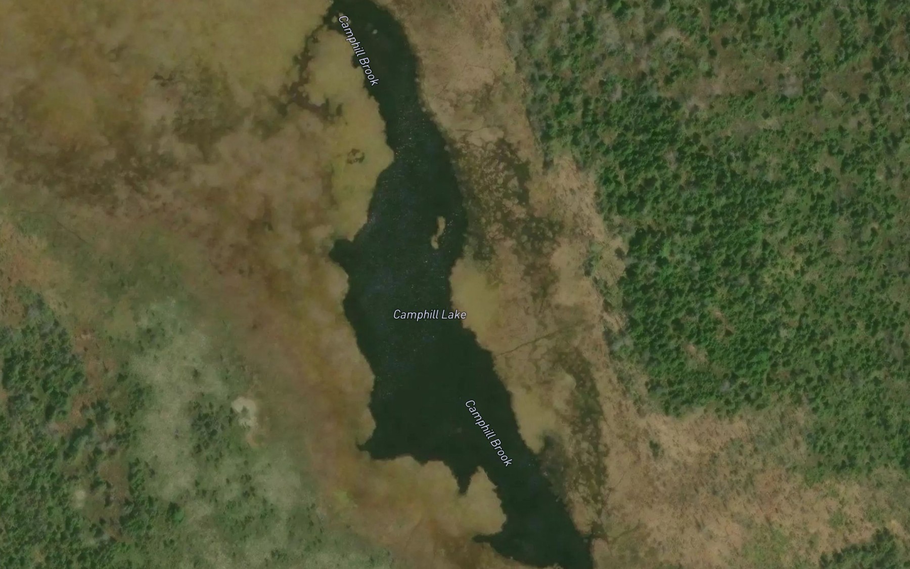 Satellite map of the Camphill Lake