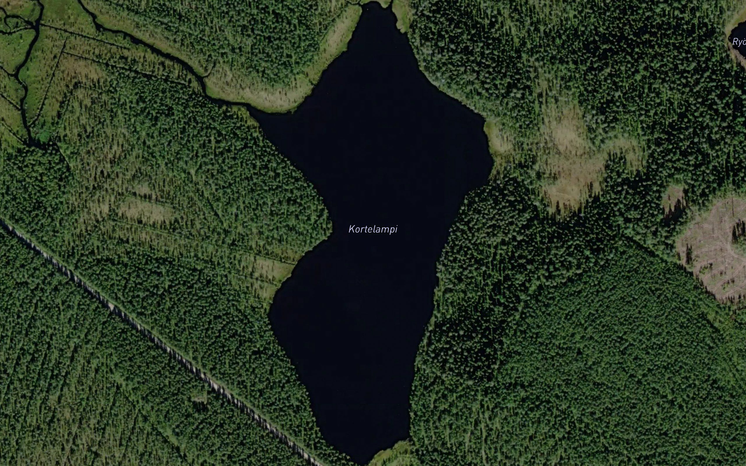 Kortelampi
