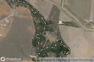 Momonga Creek