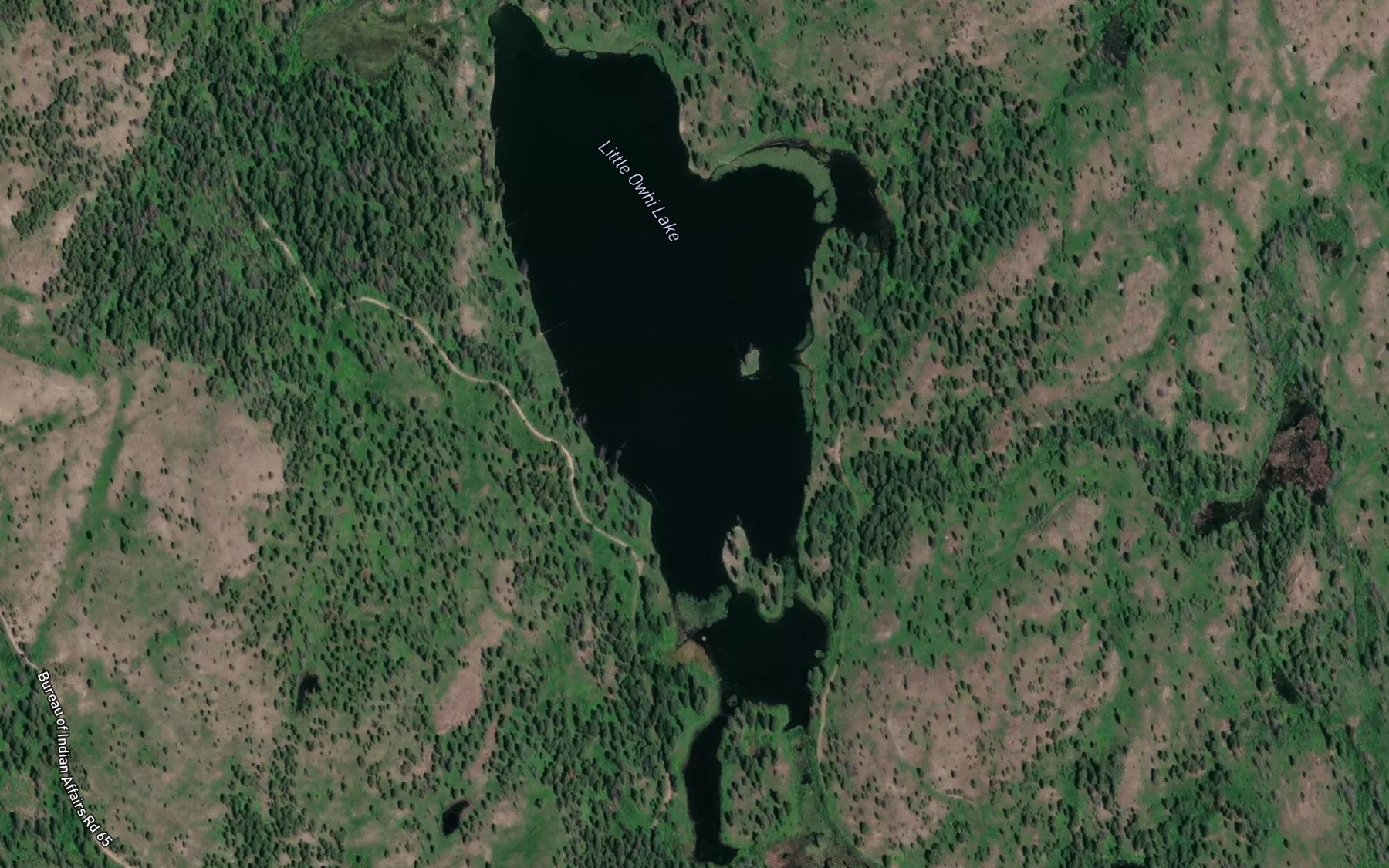 Satellite map of the Little Owhi Lake