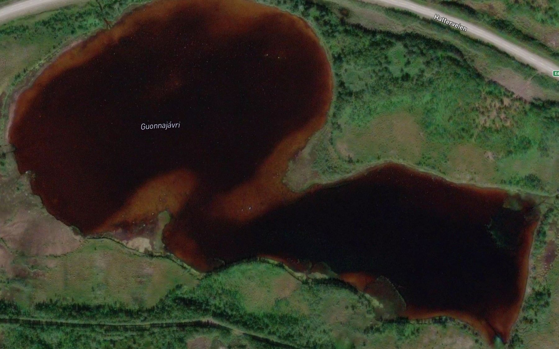 Satellite map of the Guonnajavri