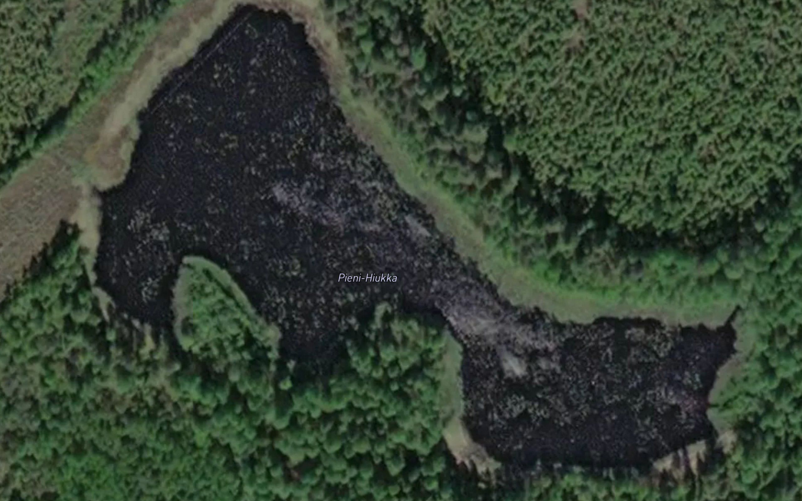 Pieni-Hiukka