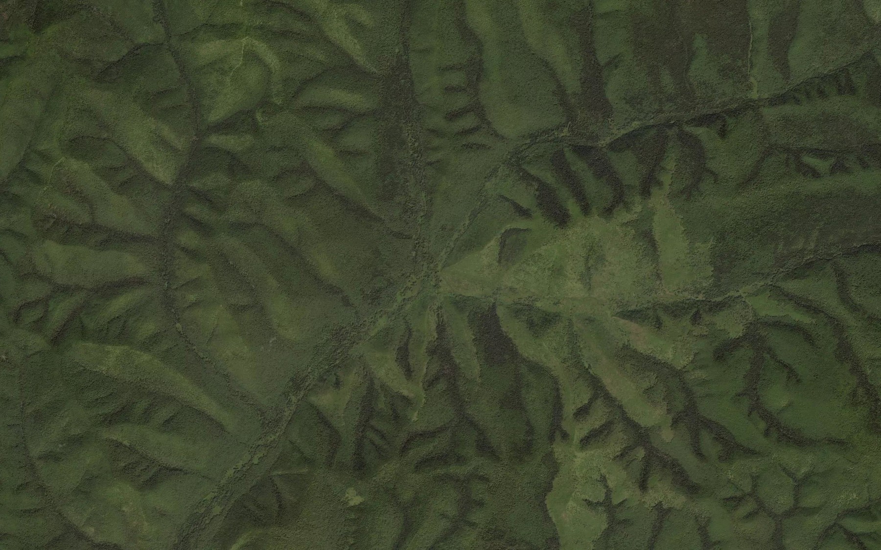 Satellite map of the Levaya Puyaki