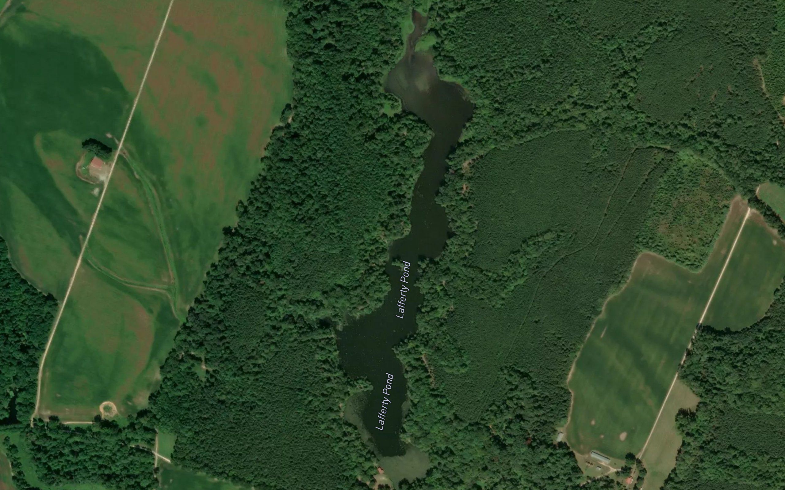 Lafferty Pond