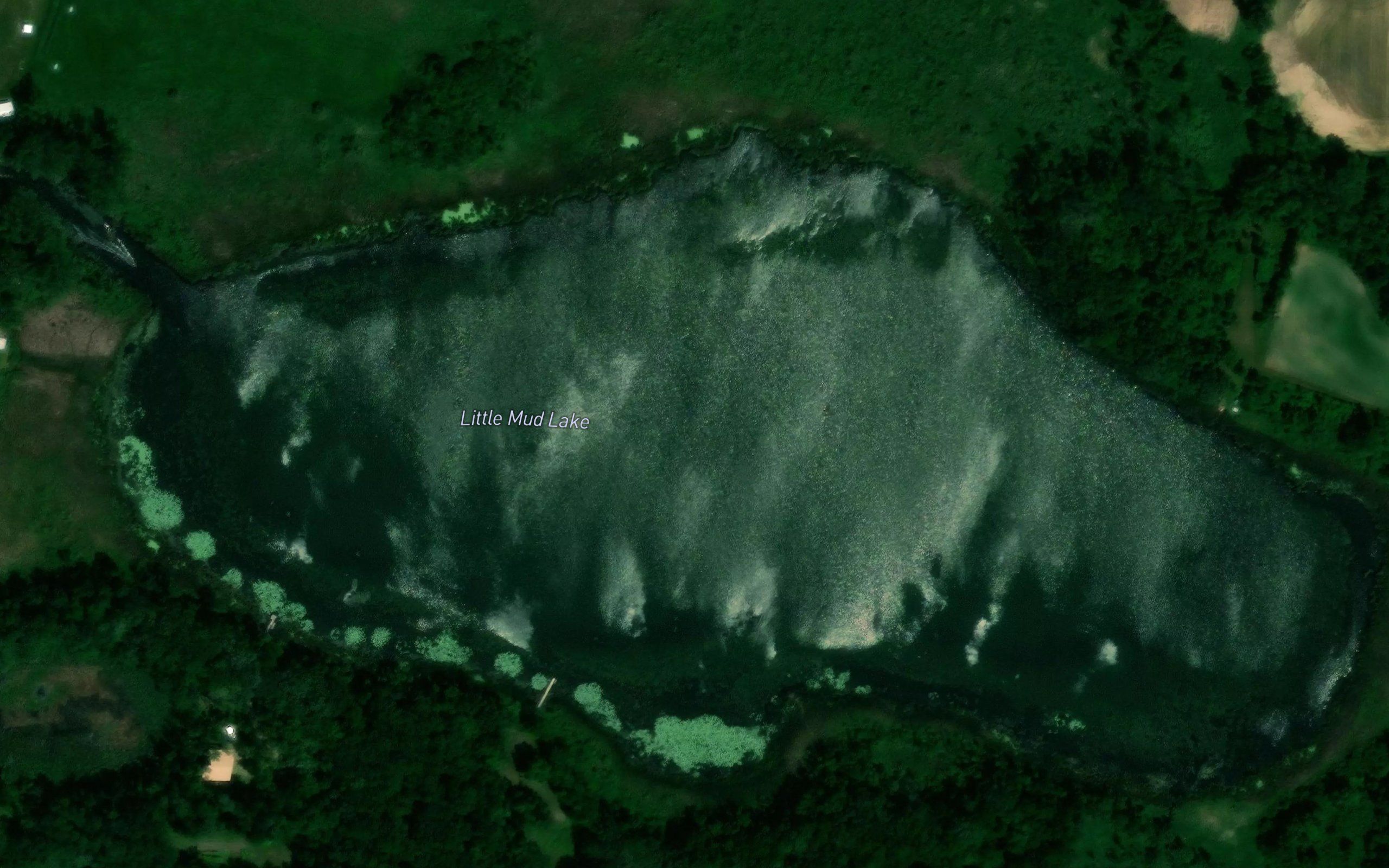 Little Mud Lake