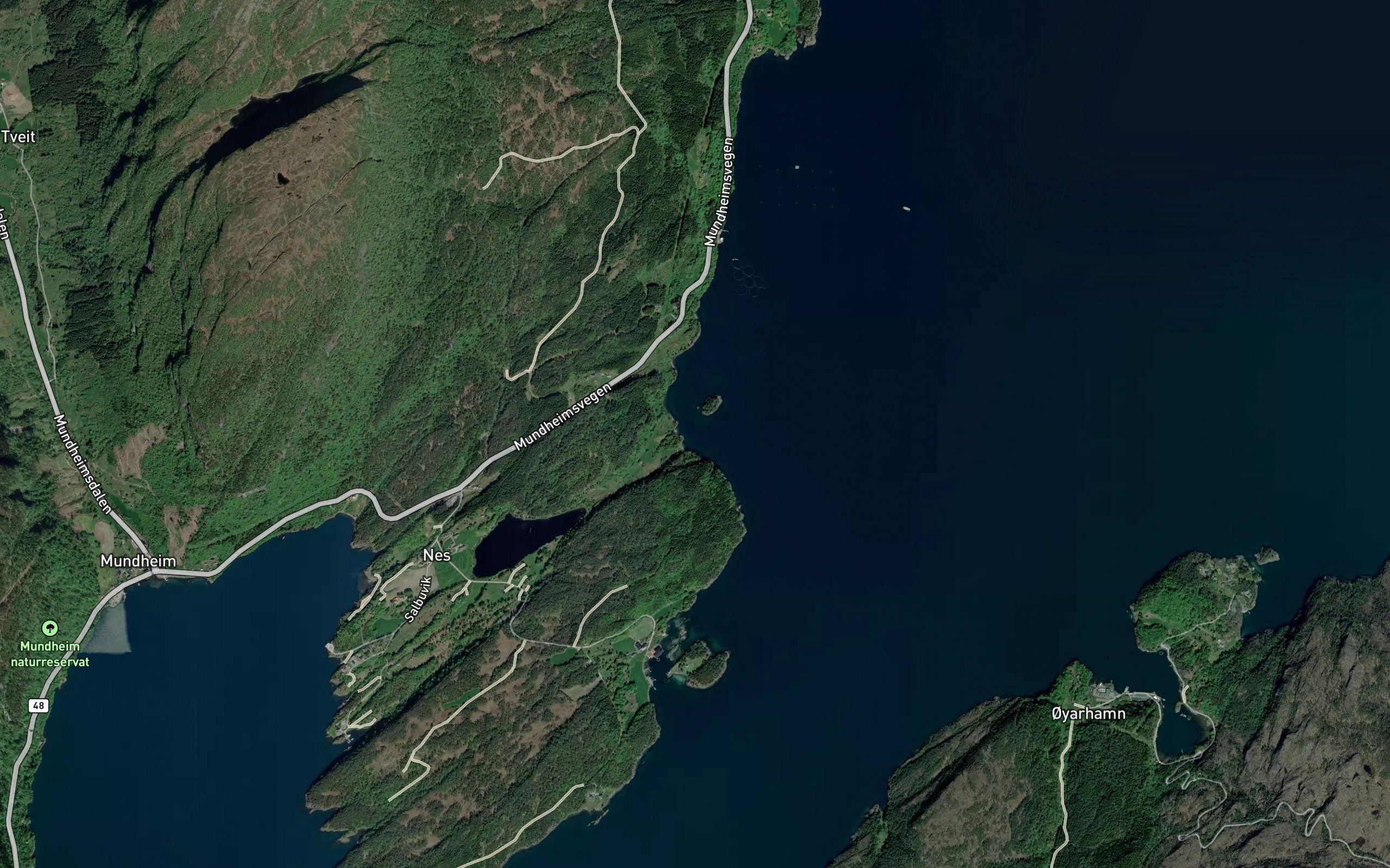 Flatesvik