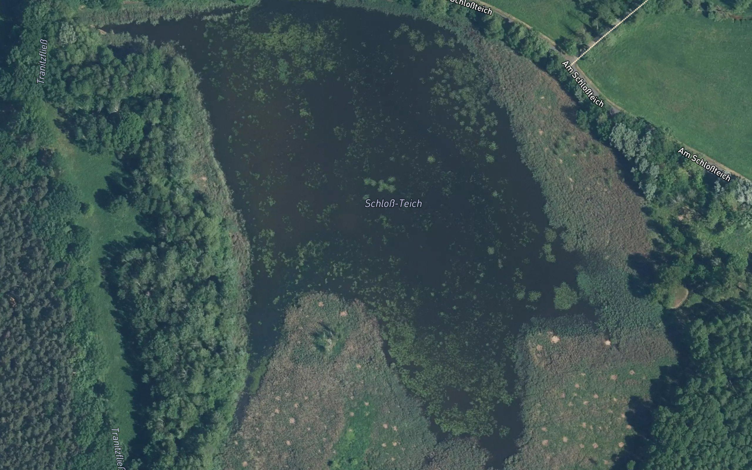 Schloss-Teich