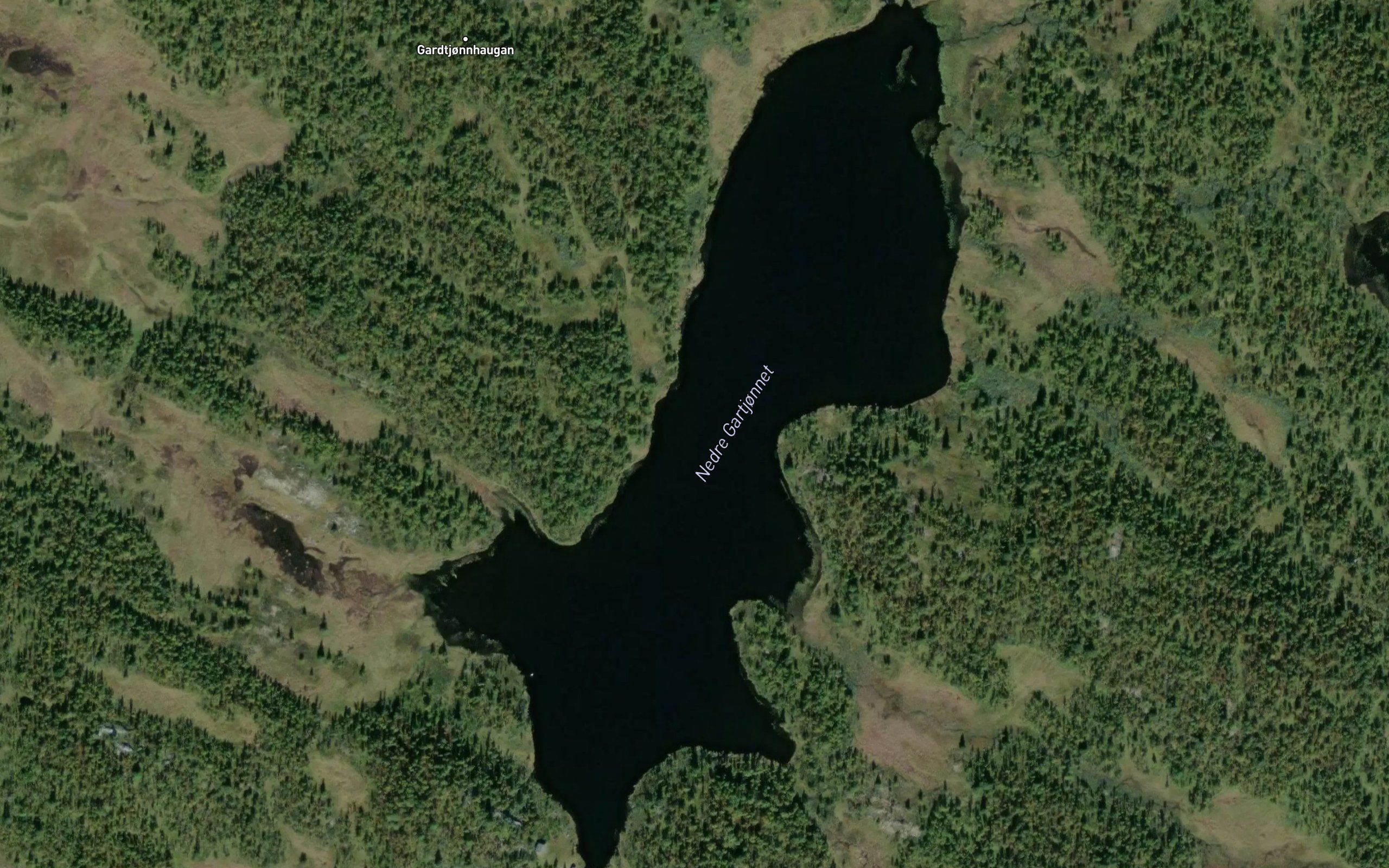 Nedre Gardtjonna