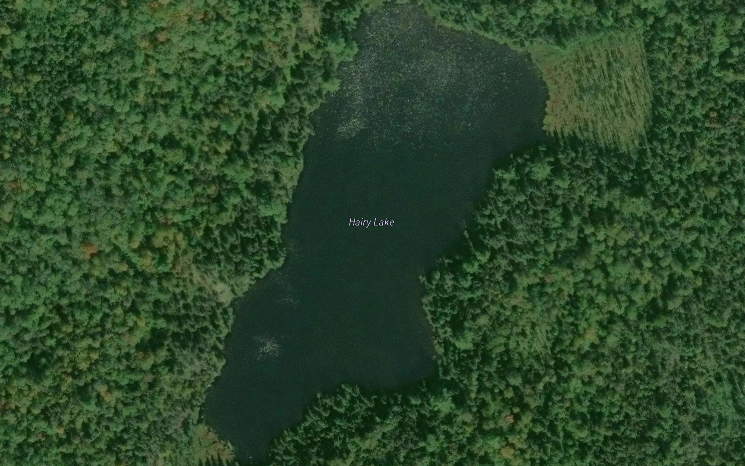 Hairy Lake