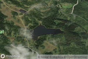 Gravatjedn