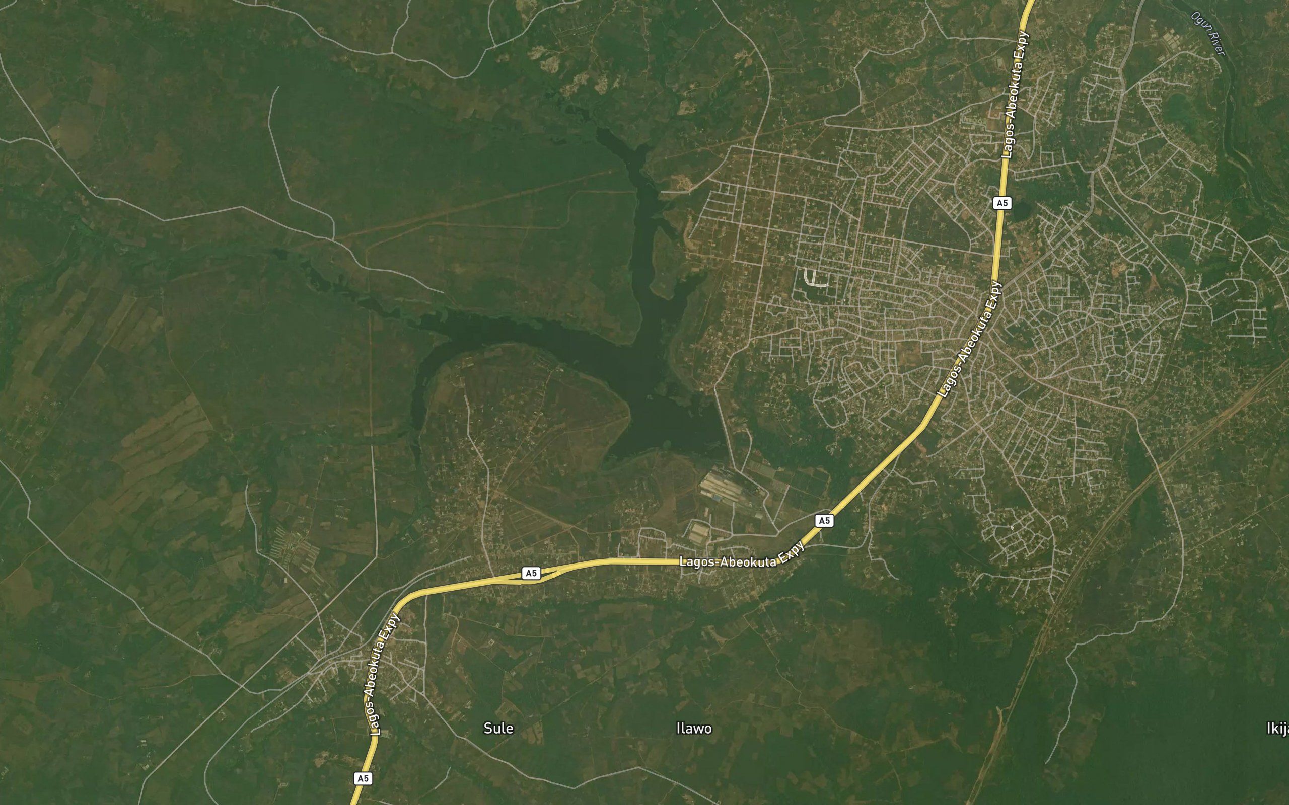 River Owiwi