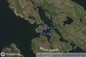 Rogues Roost