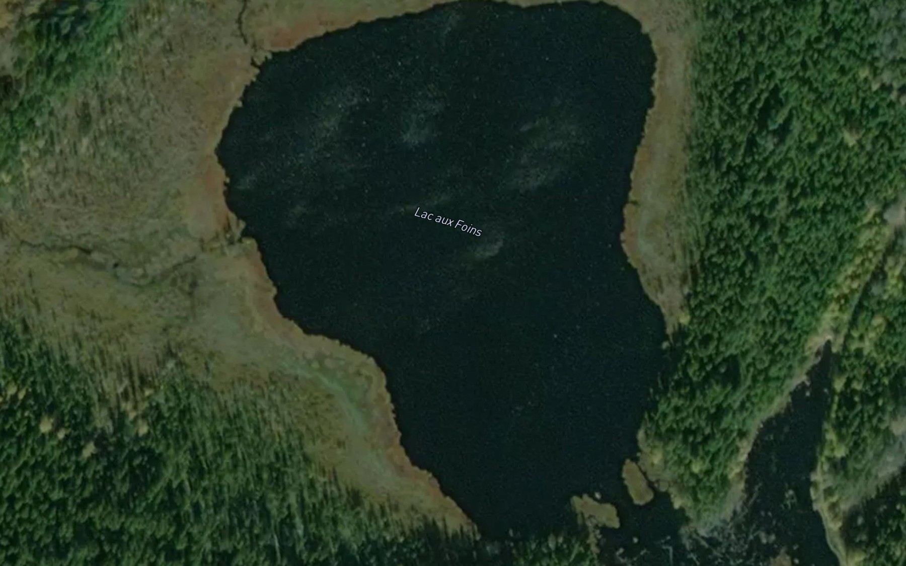 Satellite map of the Lac aux Foins