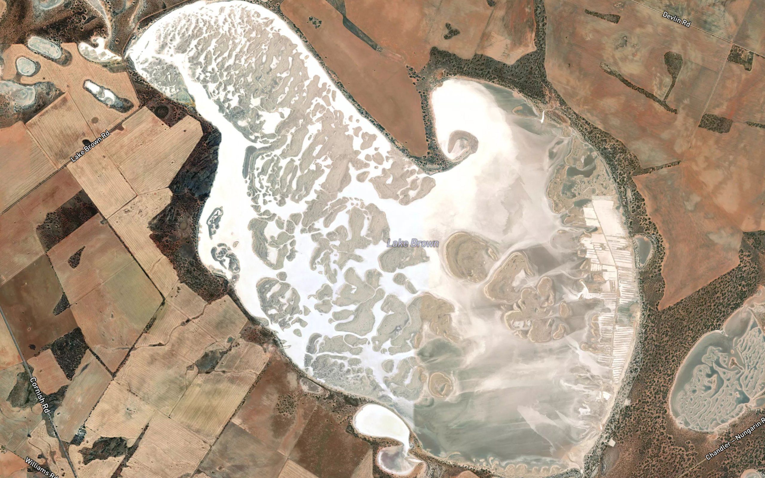 Lake Brown