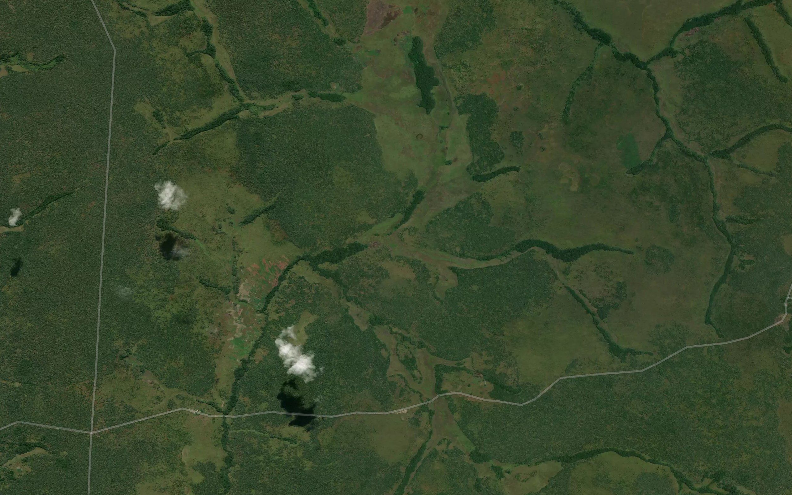 Uanga