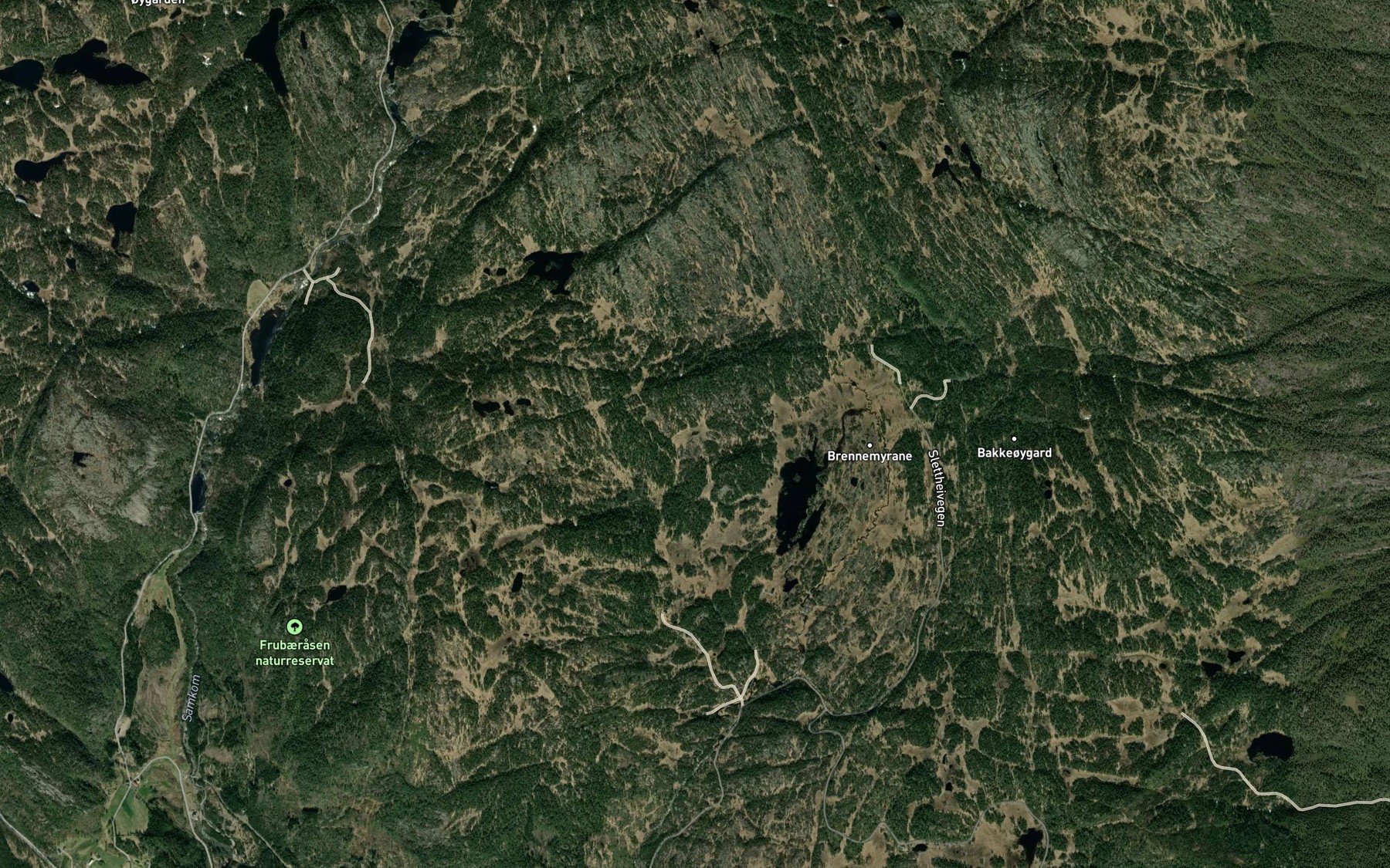 Satellite map of the Skautreistjonn