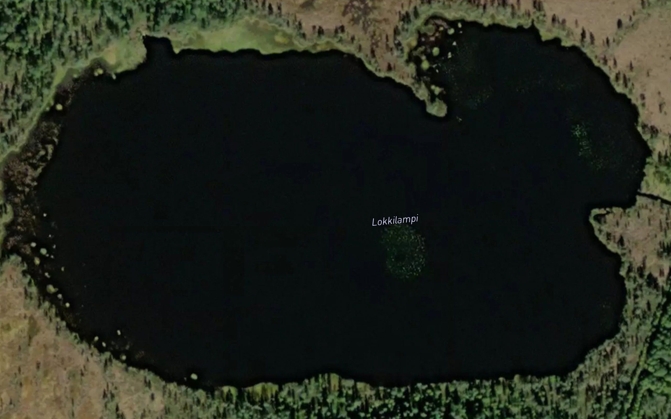 Lokkilampi