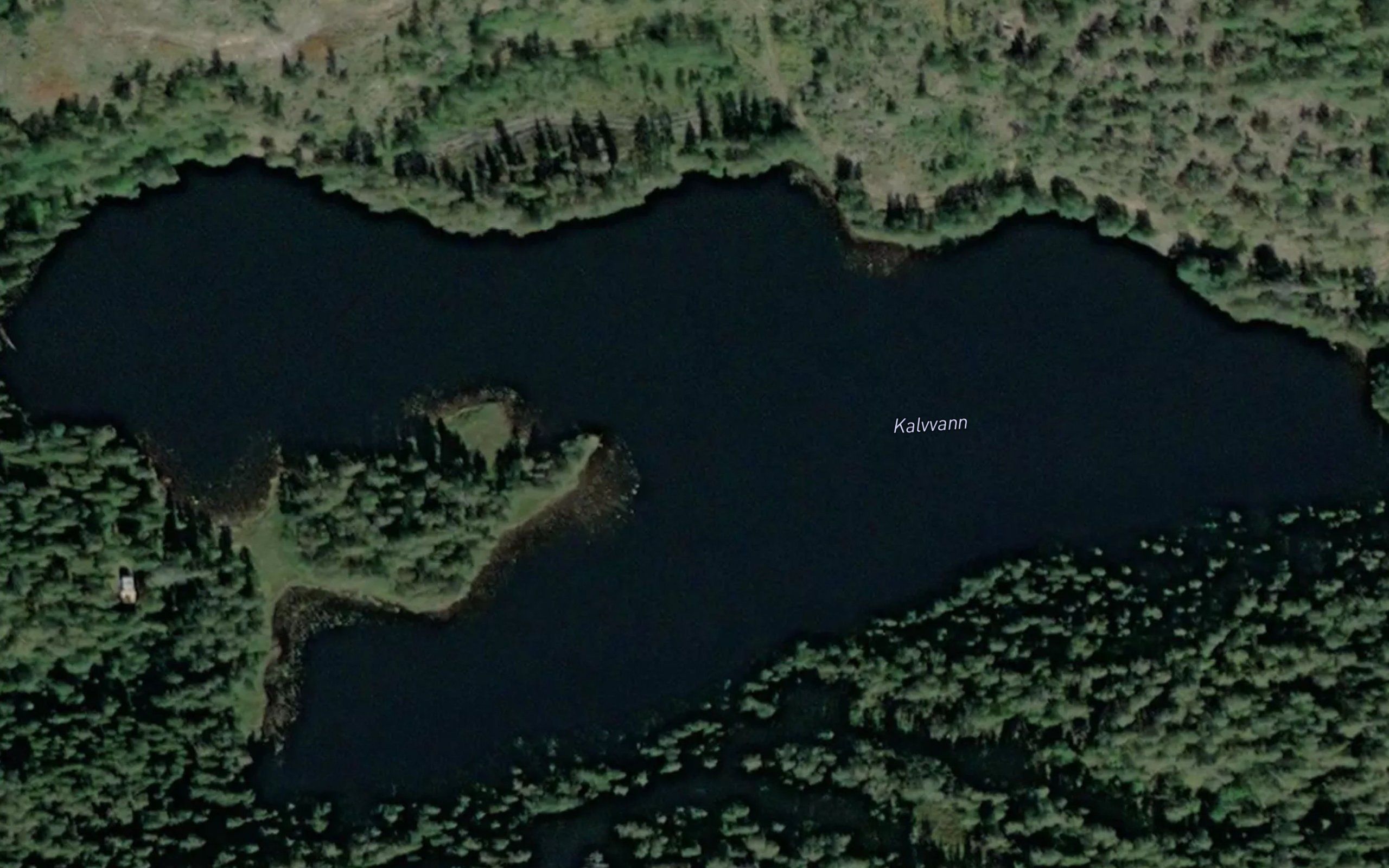 Kalvvann