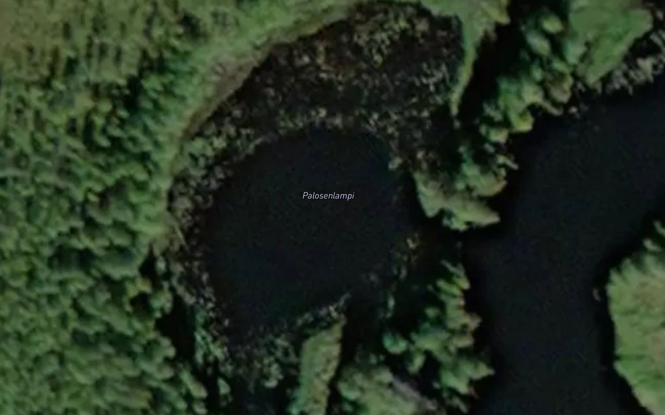 Palosenlampi