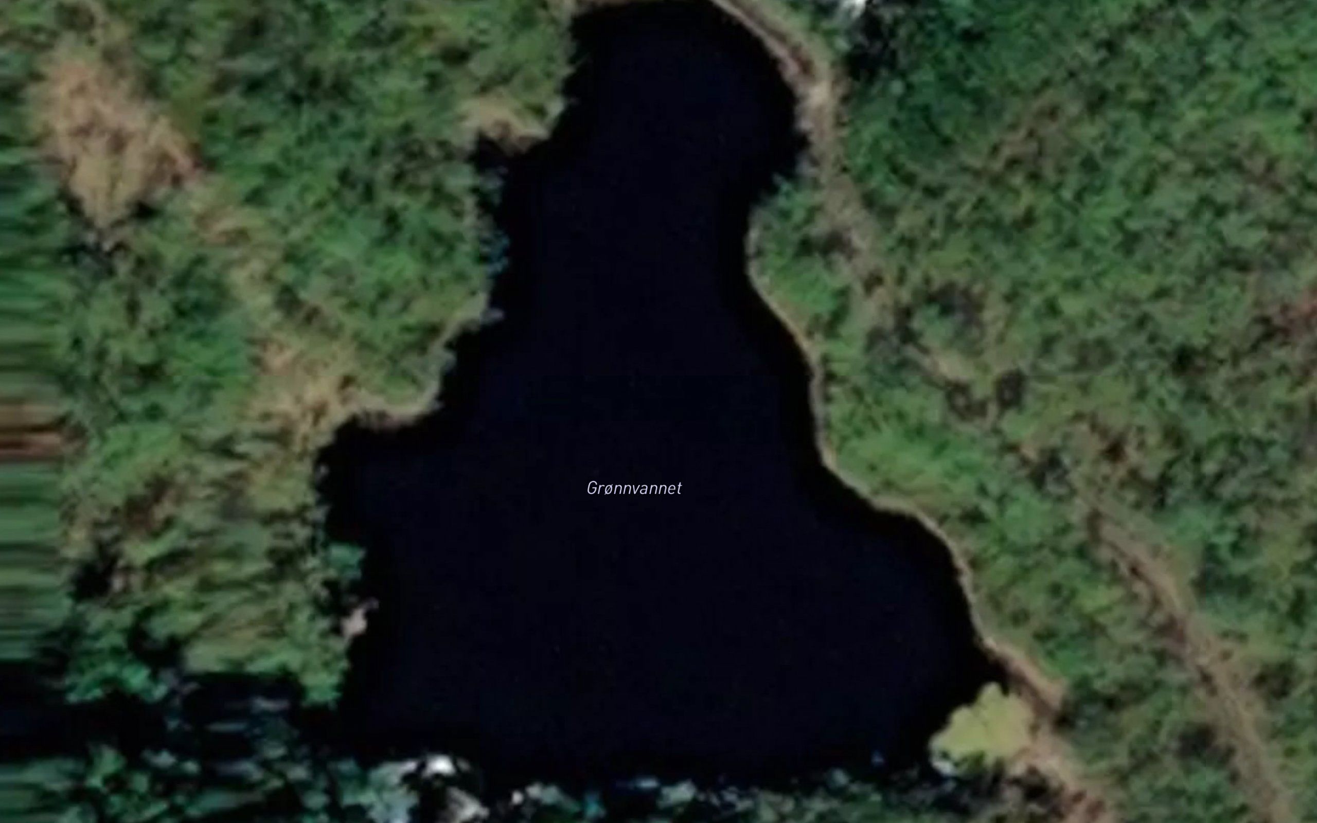 Gronnvannet