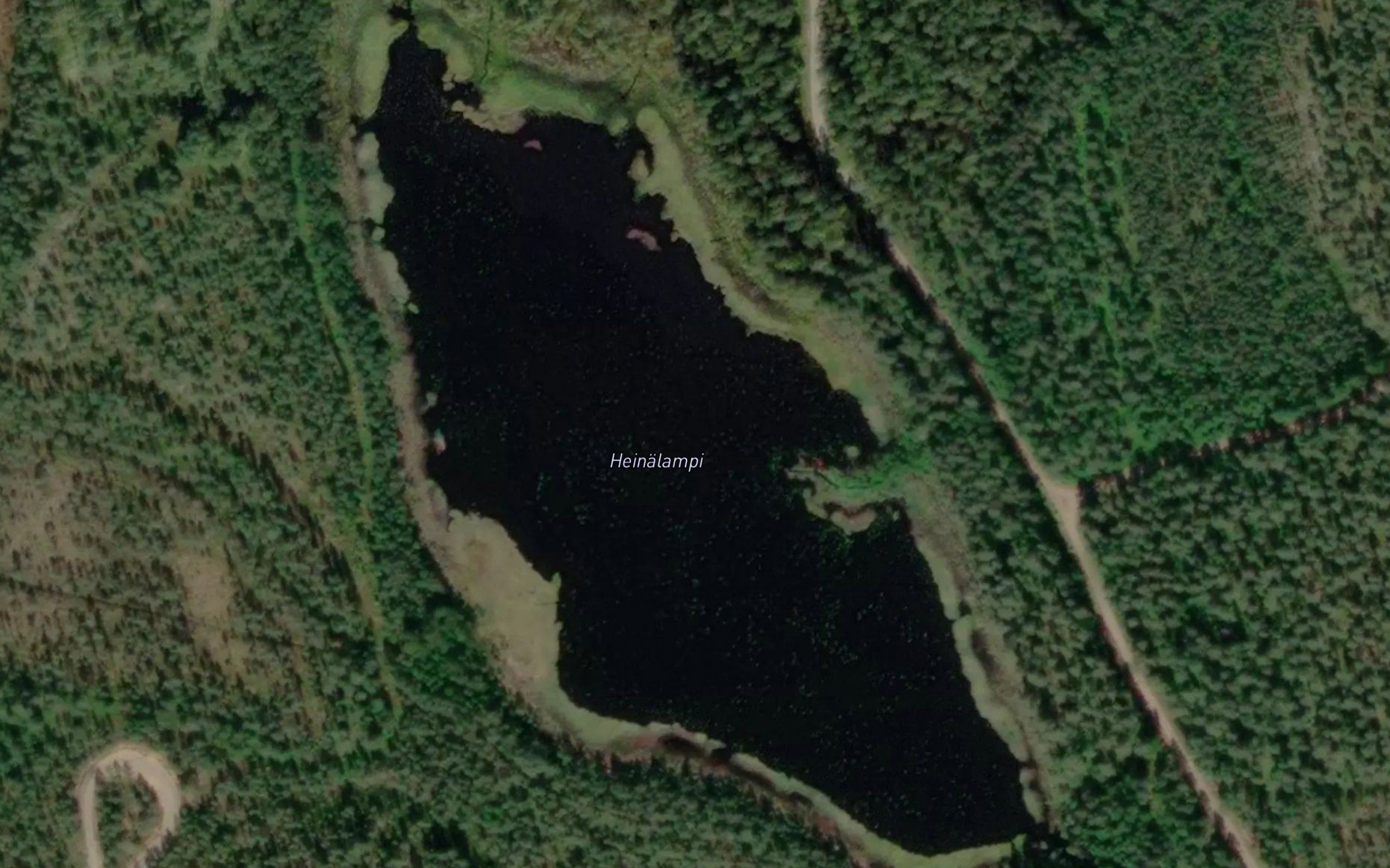 Heinalampi