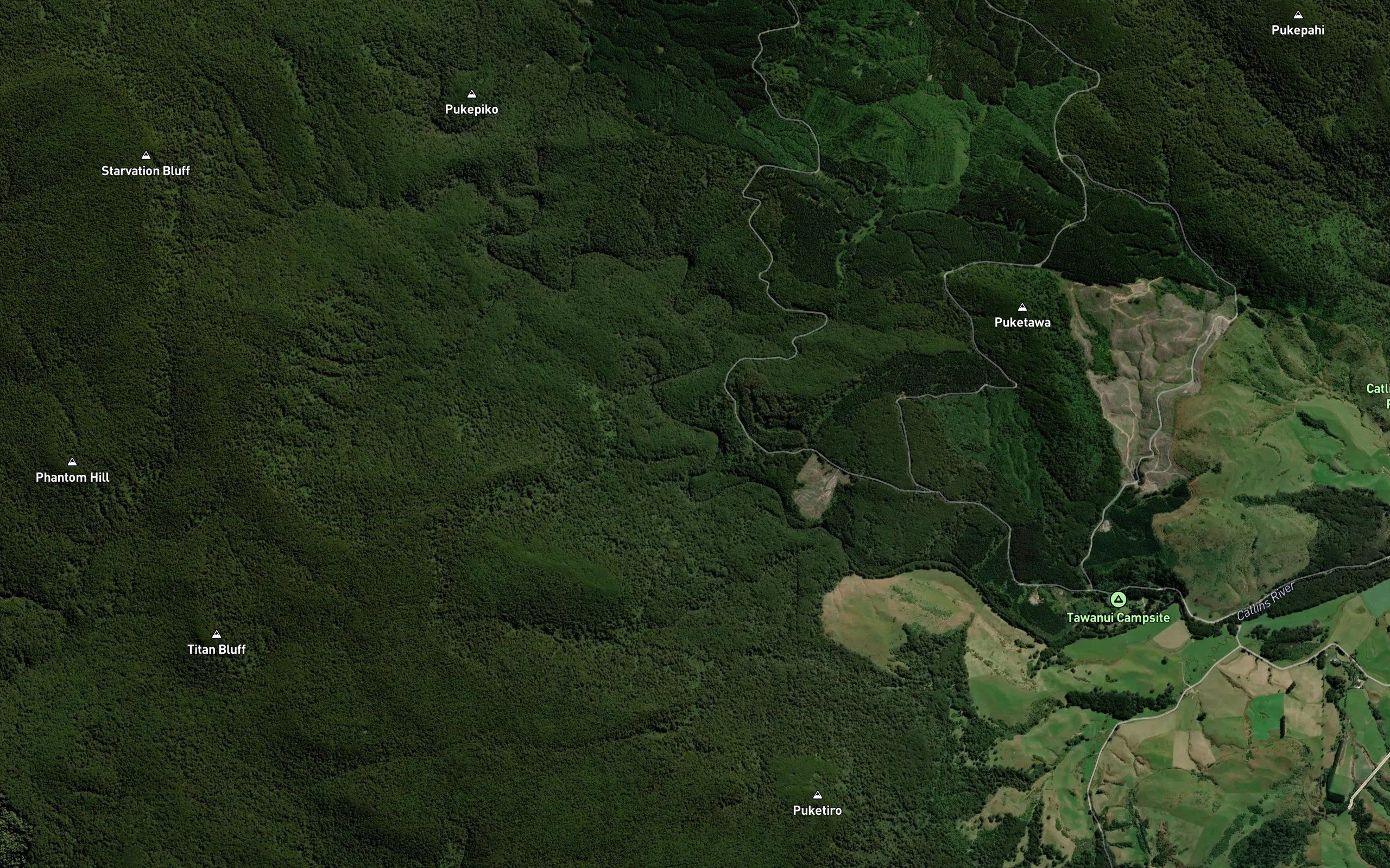 Catlins River
