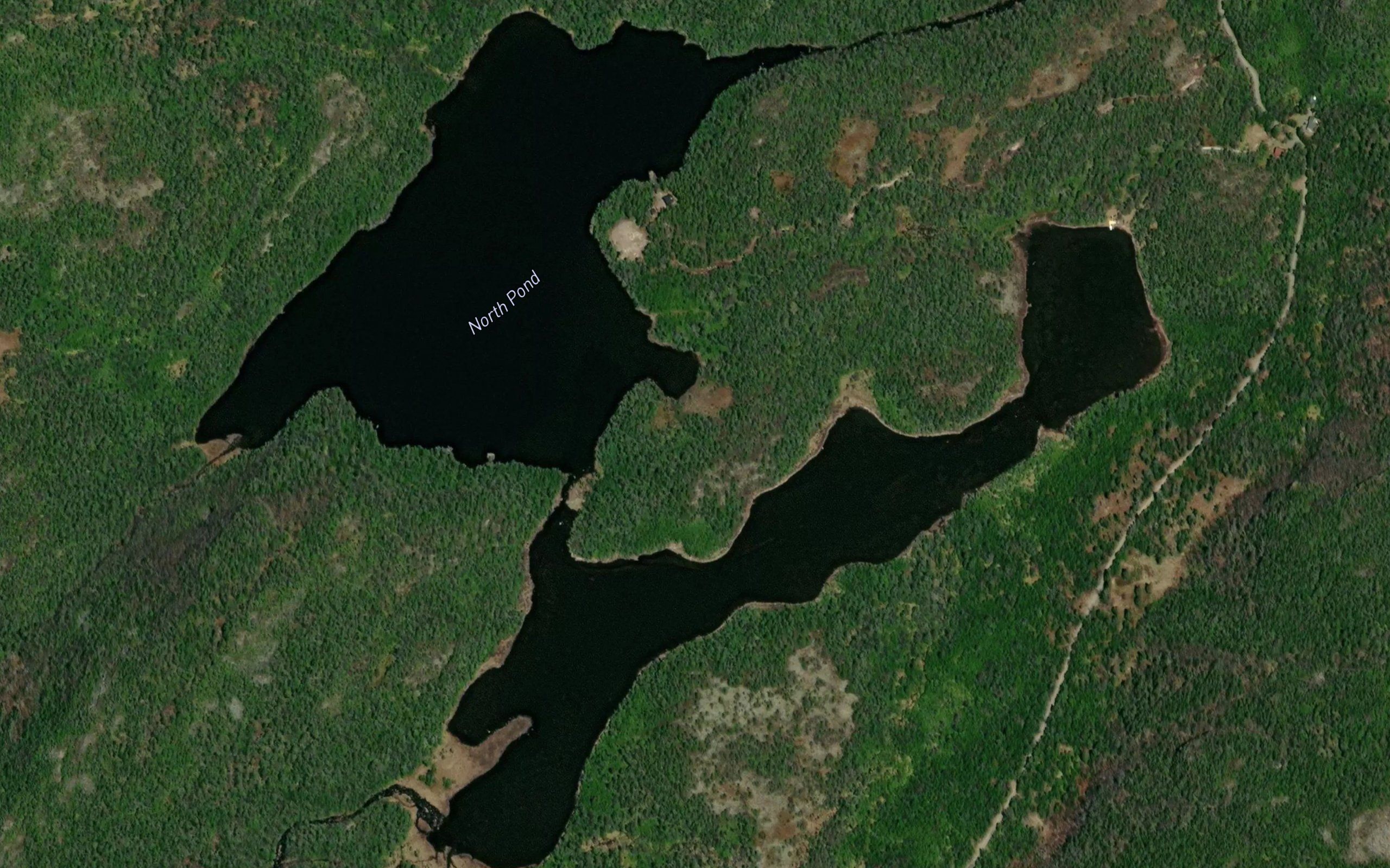 North Pond
