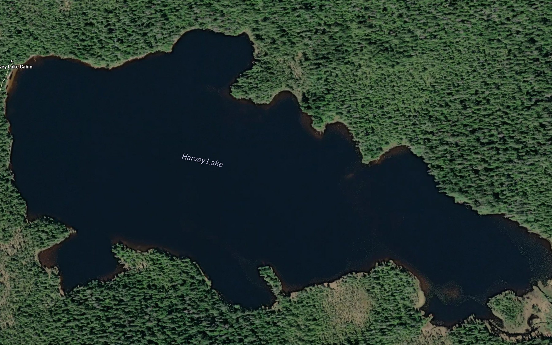 Satellite map of the Harvey Lake