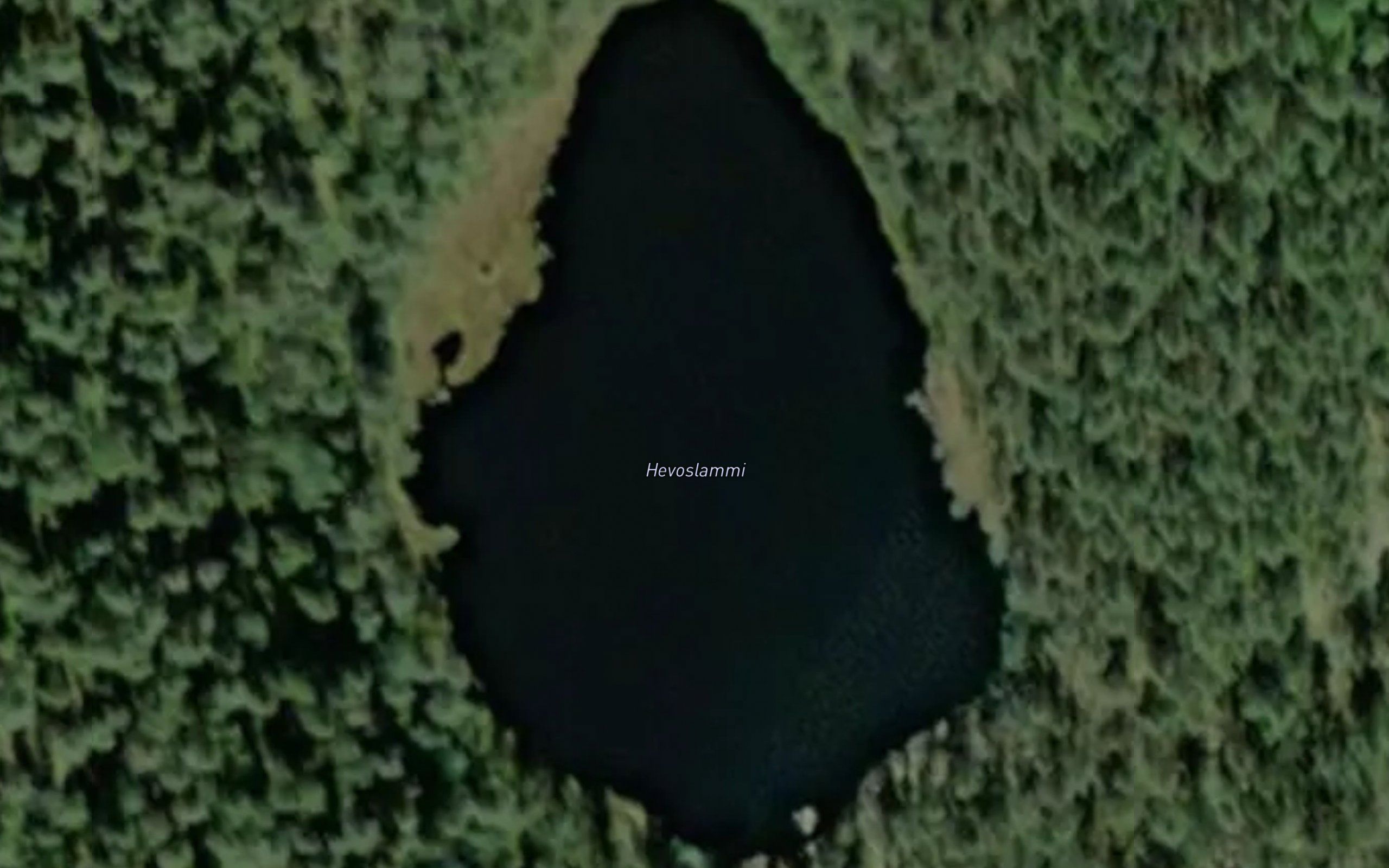 Hevoslammi