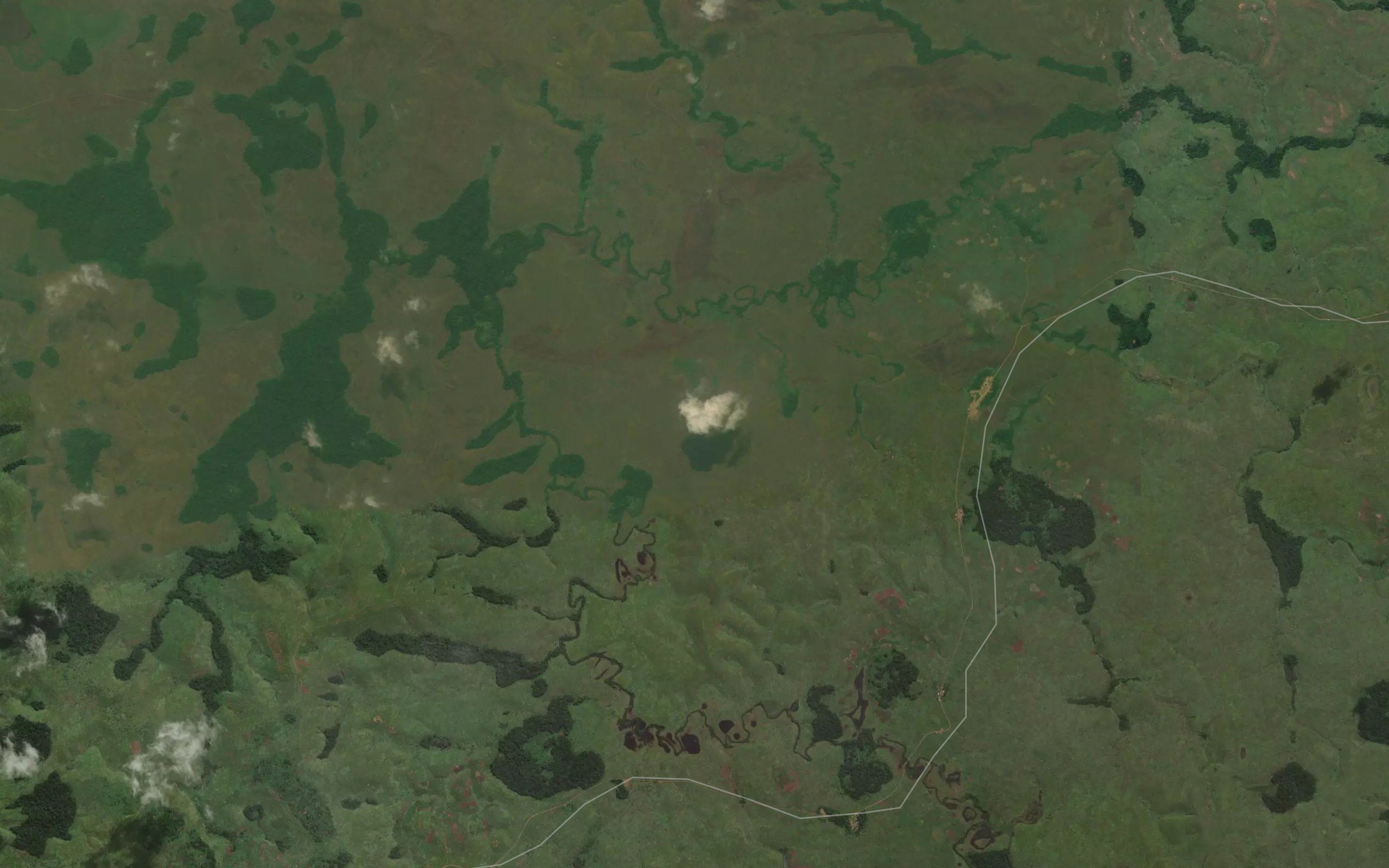 Miamba