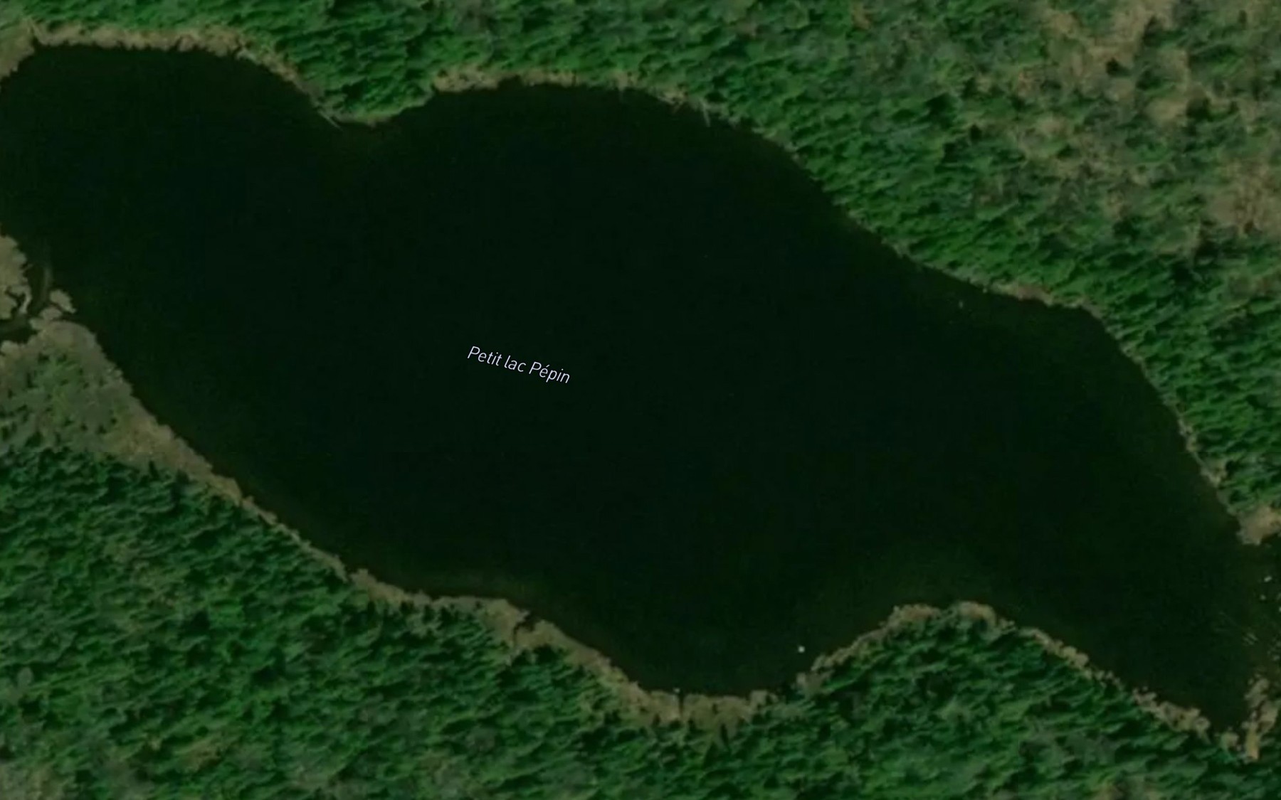 Satellite map of the Petit lac Pepin