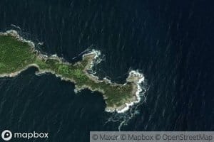 Mink Cove