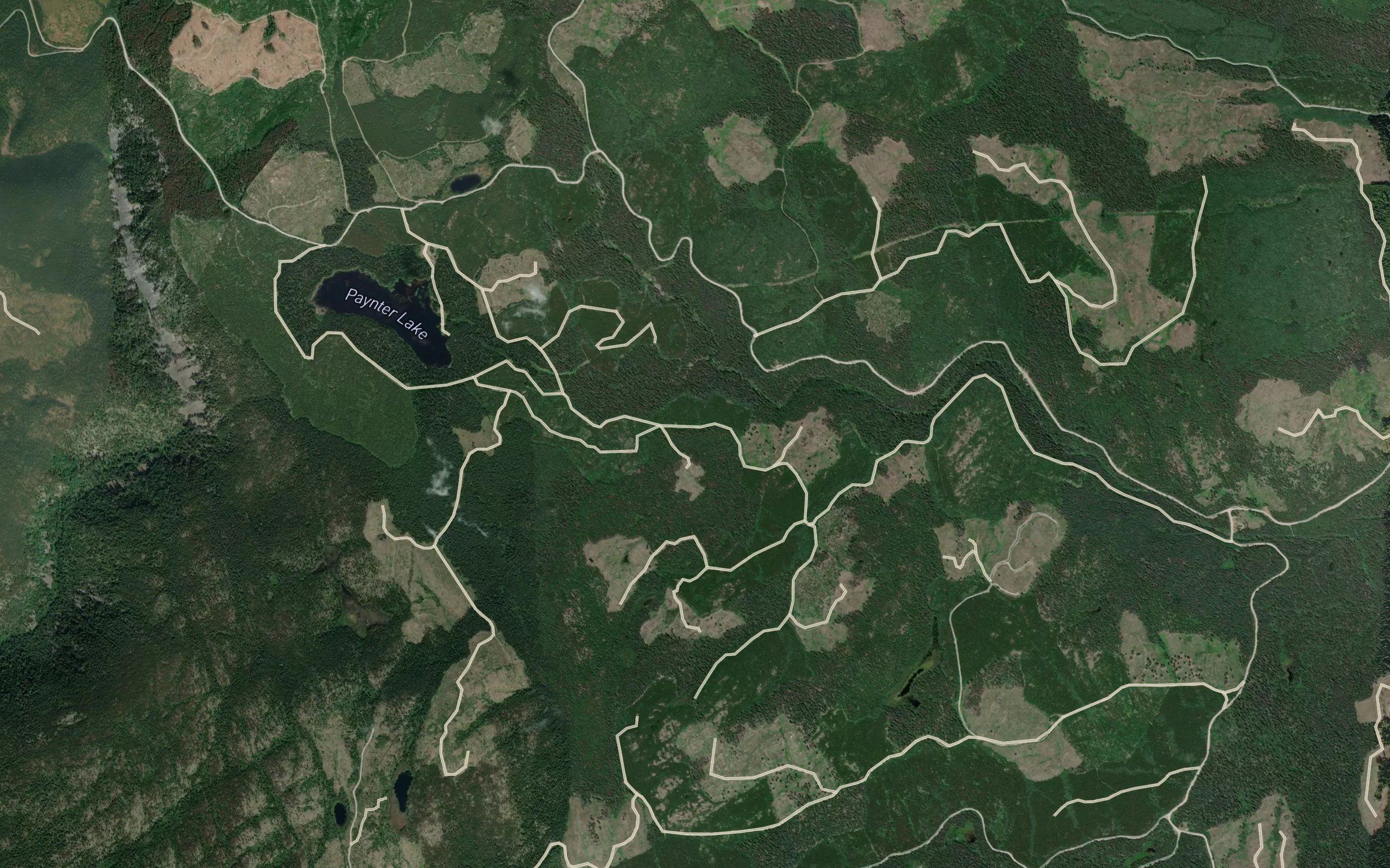 Banana Creek
