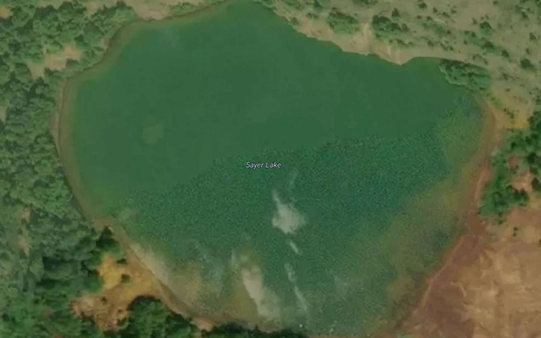 Satellite map of the Sayer Lake