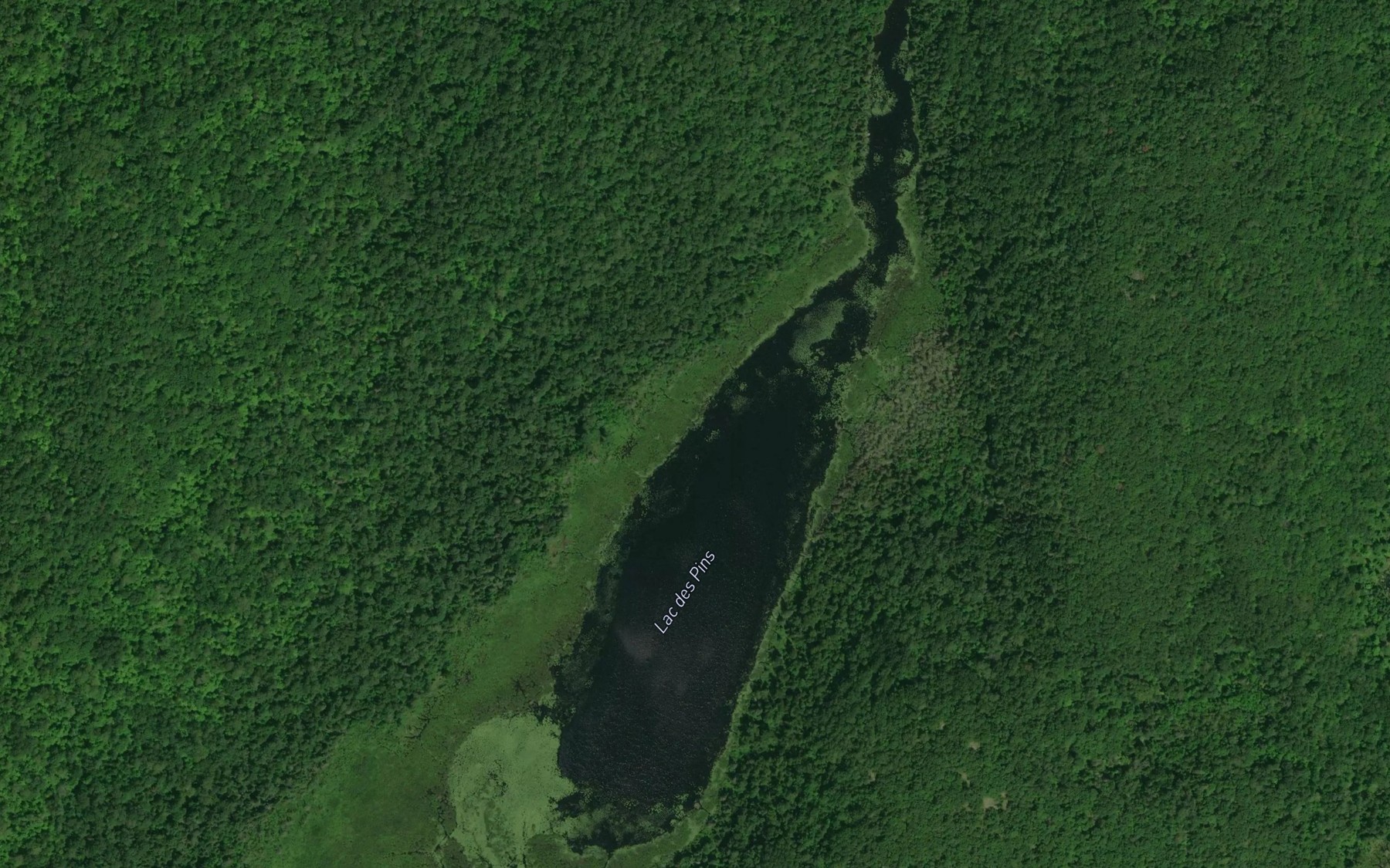 Satellite map of the Lac des Pins