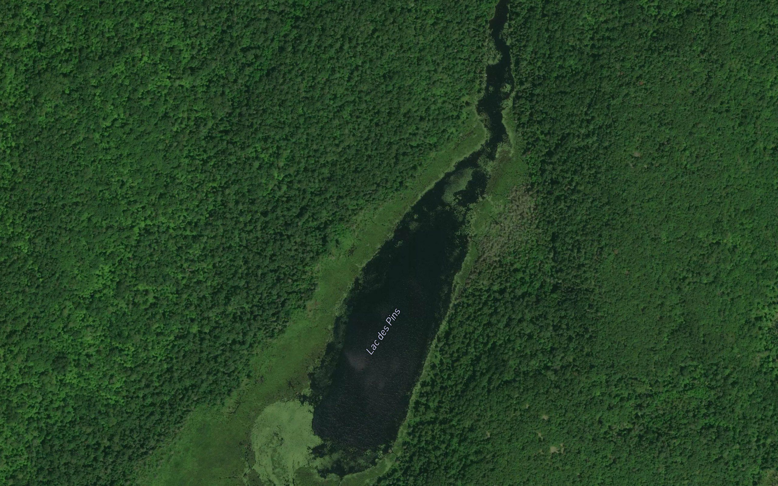 Lac des Pins