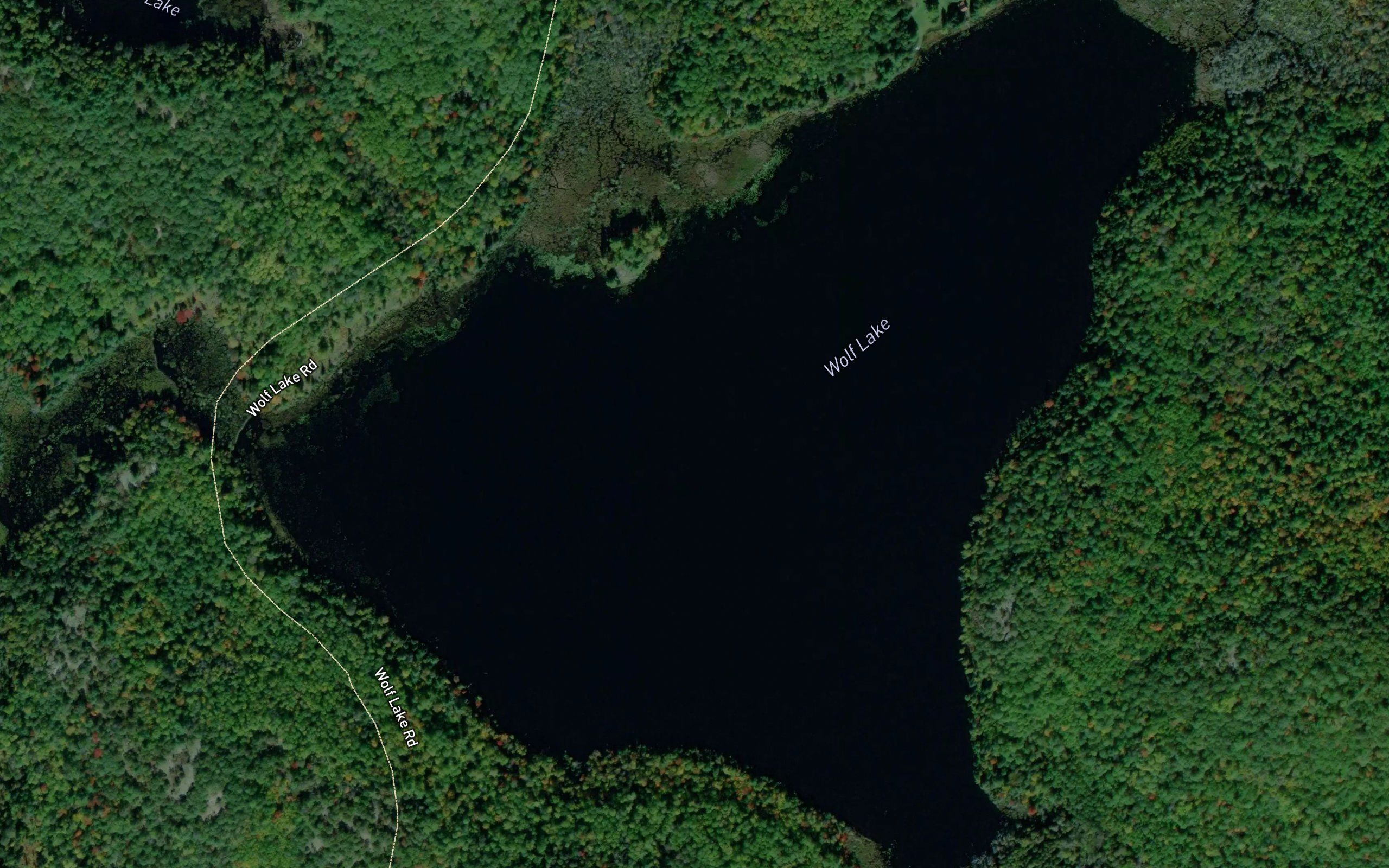 Wolf Lake