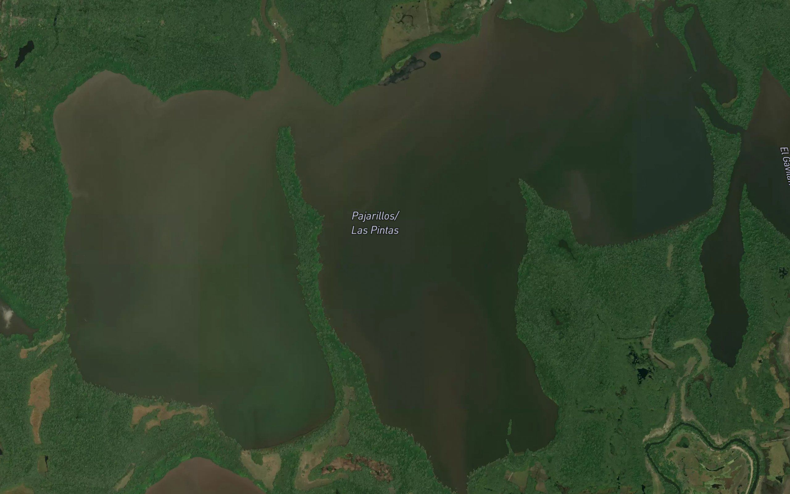 Laguna las Pintas